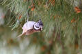 Crested Tit